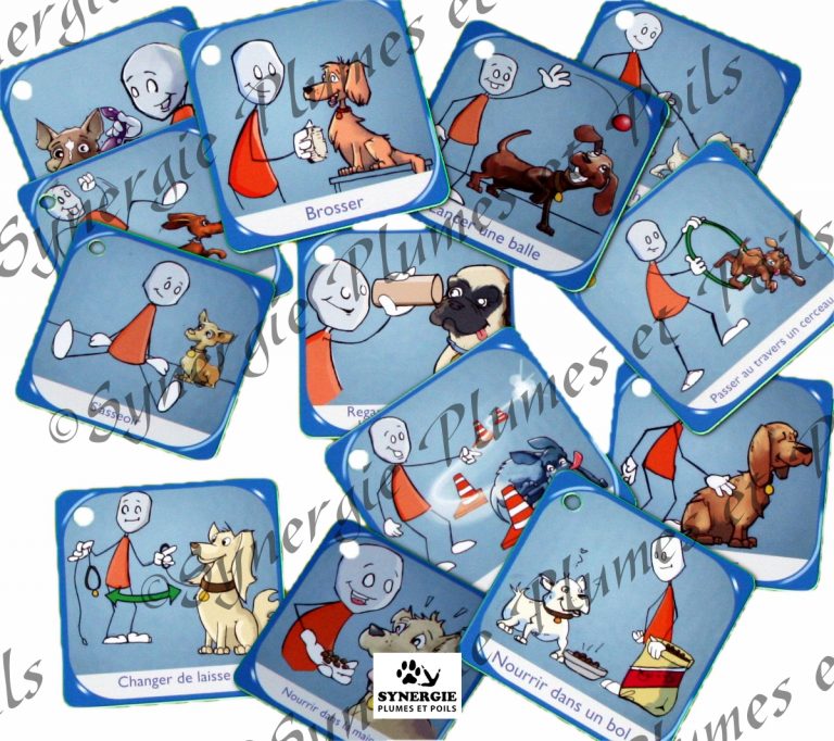Matériel zoothérapie cartes pictogrammes actions avec le chien 2