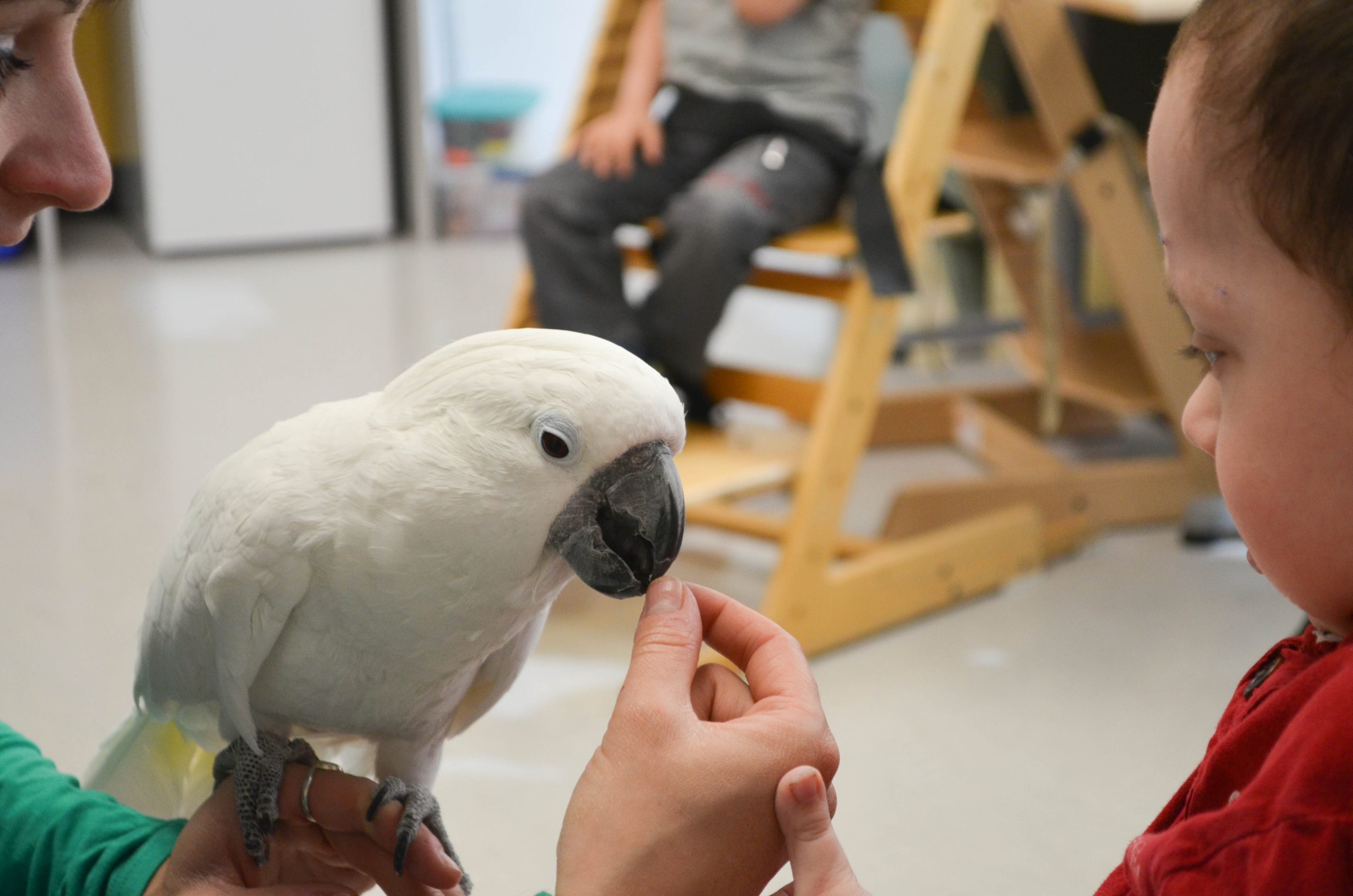 Test
