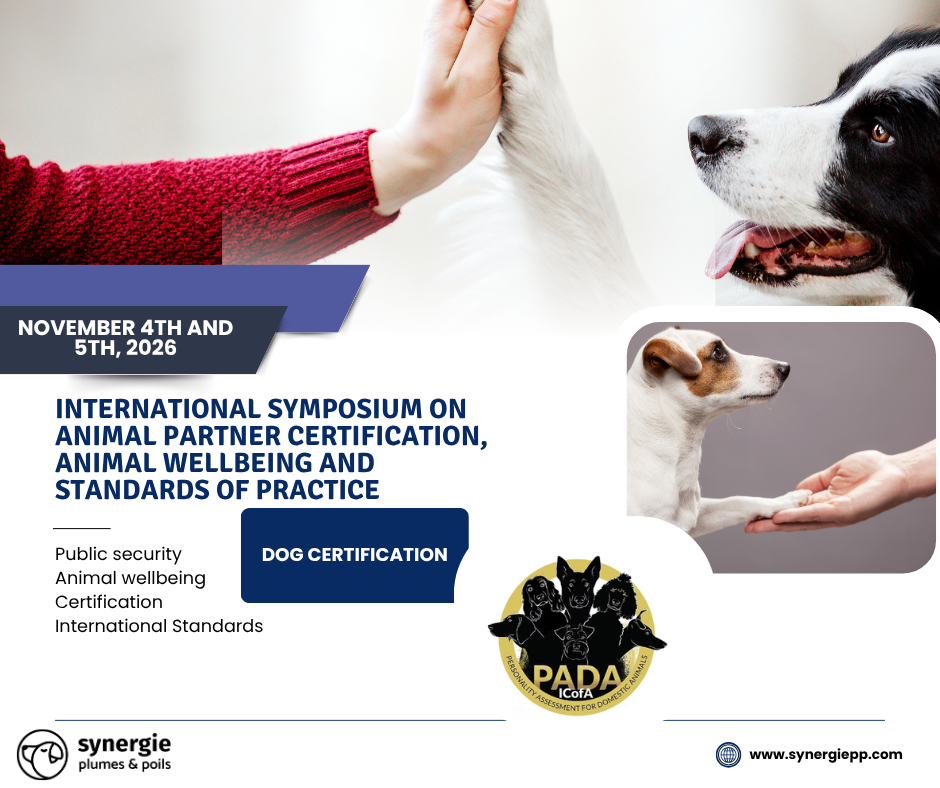 INSCRIPTION - ÉVALUATION ET CERTIFICATION INTERNATIONALE CHIEN PADA - 4 et 5 novembre 2026