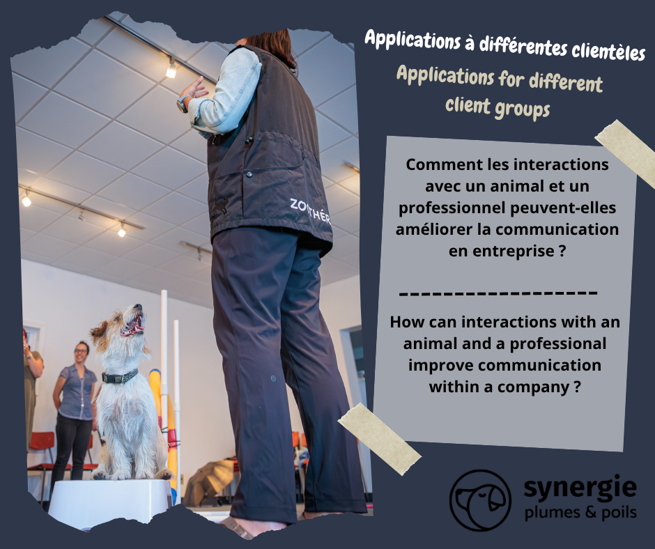 Comment les interactions avec un animal et un professionnel peuvent-elles améliorer la communication en entreprise ?