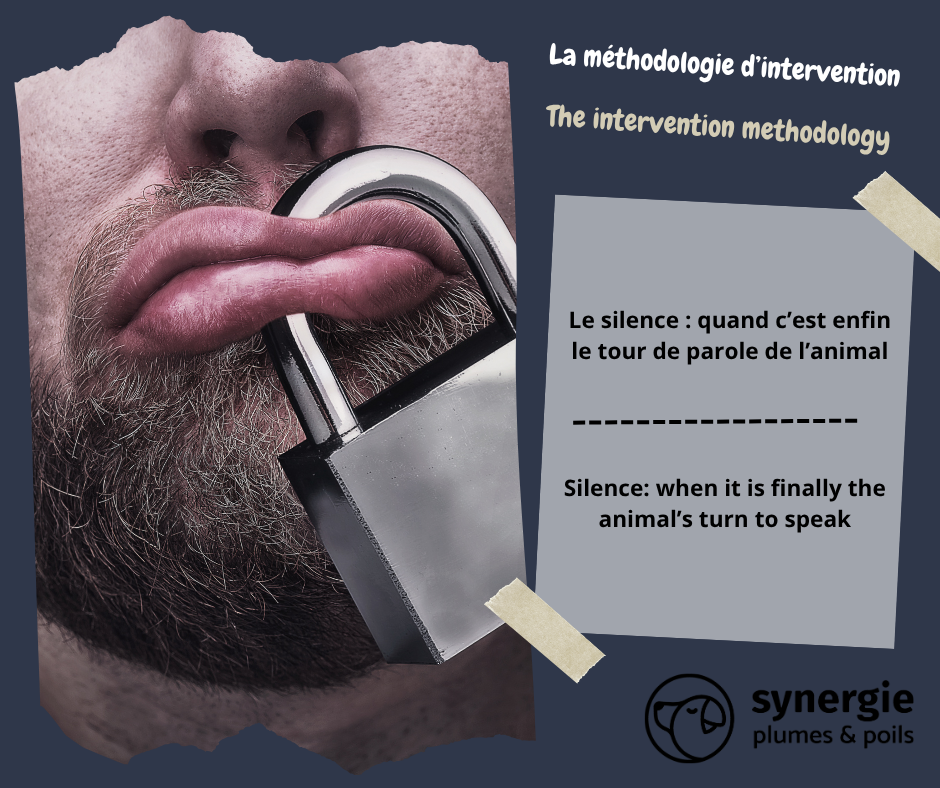 Le silence : quand c’est enfin le tour de parole de l’animal