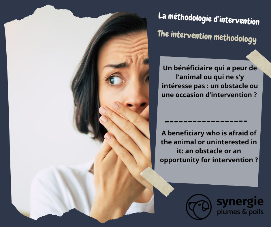 Un bénéficiaire qui a peur de l’animal ou qui ne s’y intéresse pas : un obstacle ou une occasion d’intervention ?
