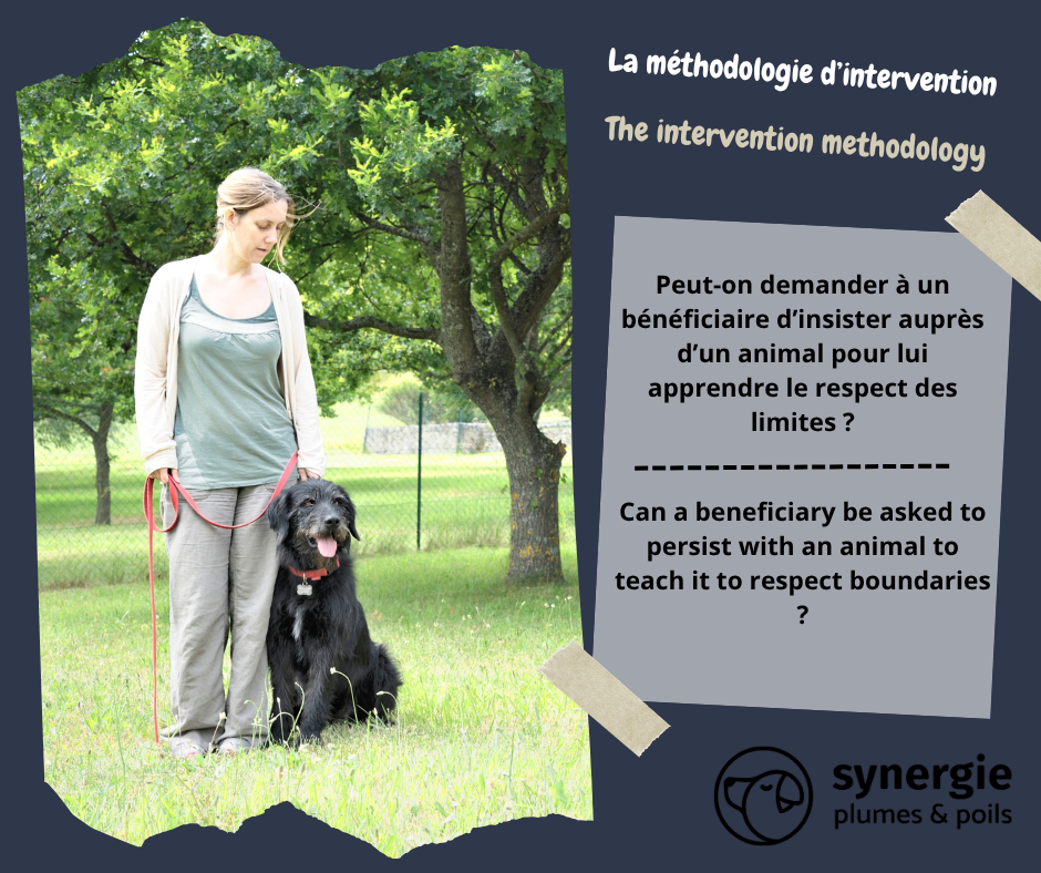 Peut-on demander à un bénéficiaire d’insister auprès d’un animal pour lui apprendre le respect des limites ?