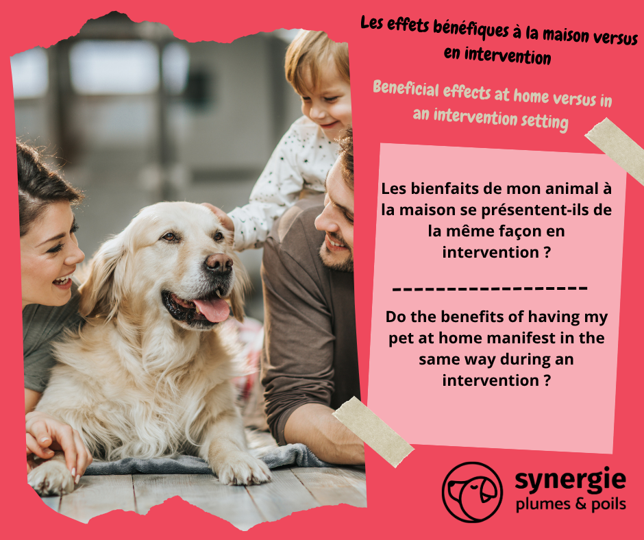 Les bienfaits de mon animal à la maison se présentent-ils de la même façon en intervention ?
